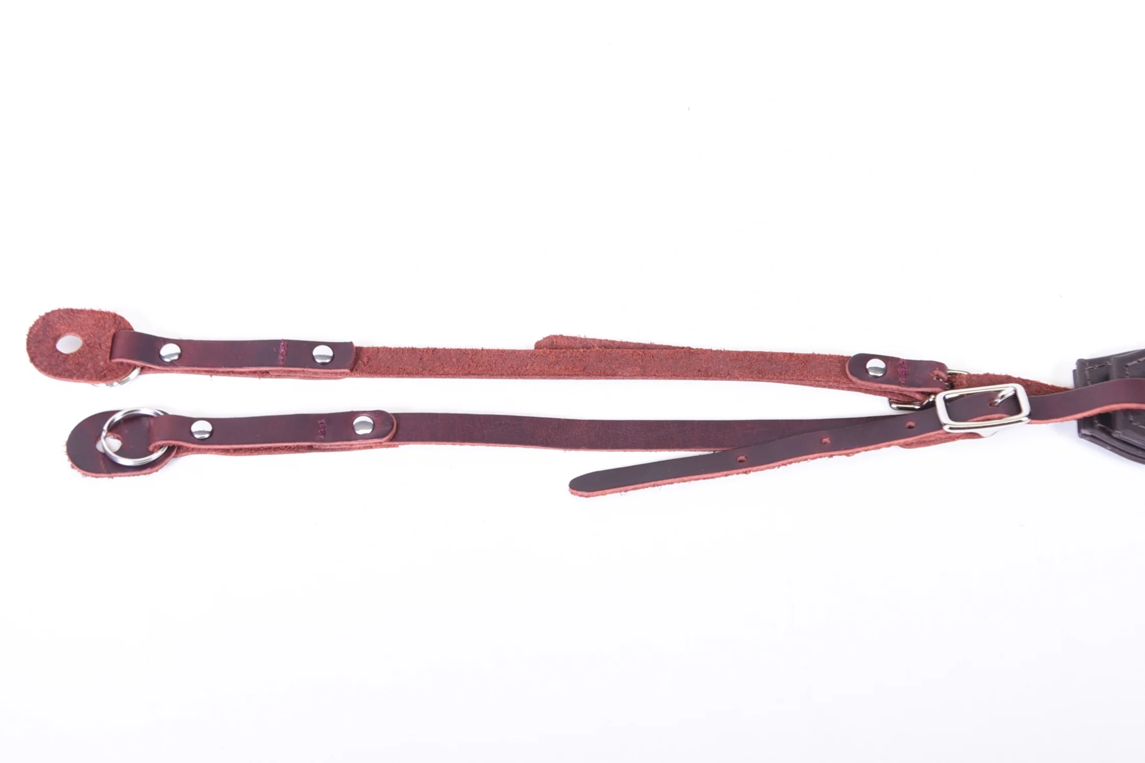 The Presidio - Mirrorless Cameras - Image 3